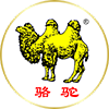 骆驼牌（CAMEL）